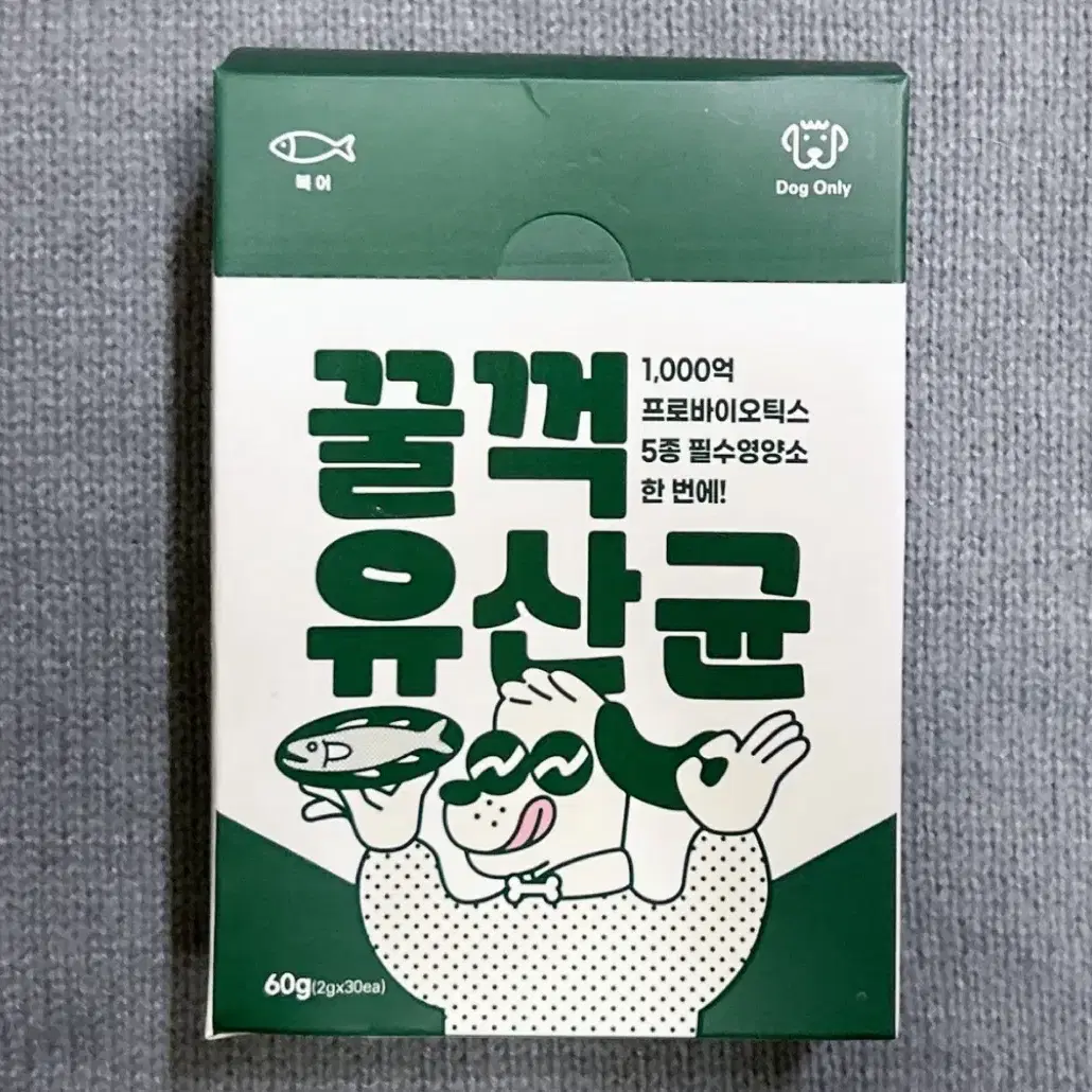 튼튼대학 꿀꺽 유산균 반려견 유산균