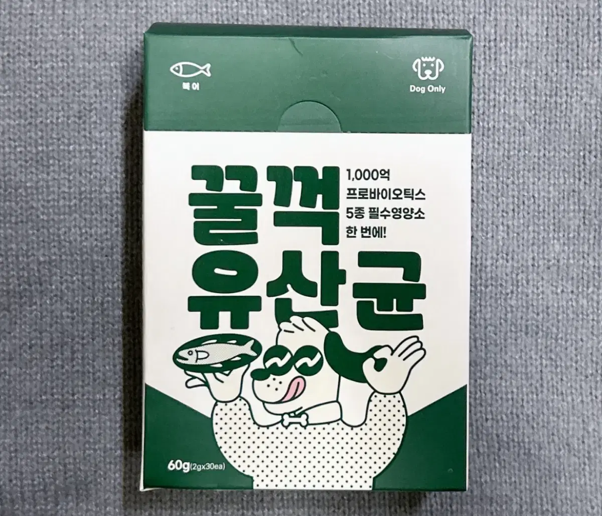 튼튼대학 꿀꺽 유산균 반려견 유산균