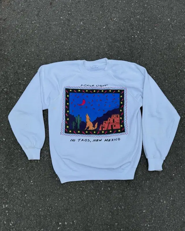 90s Hanes 50/50 sweat