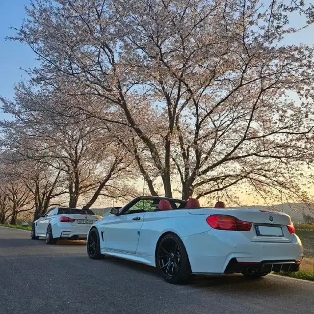 bmw 428i컨버터블(급매)