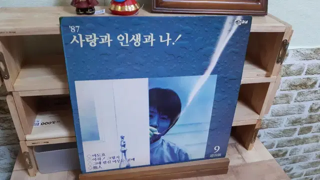 조용필 9집 lp