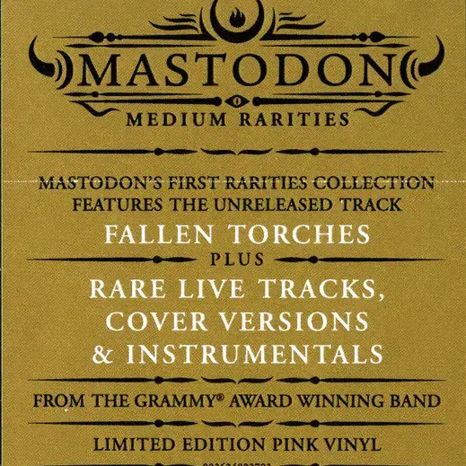 마스토돈 mastodon Medium Rarities 더블바이닐 민트반