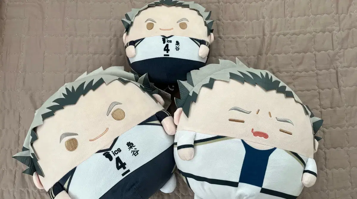 Bokuto Fuwakororing in bulk