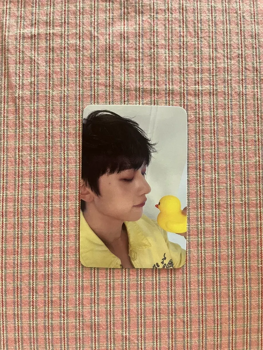 ZB1 Book 4 soundwave seok matthew Duck photocard WTS