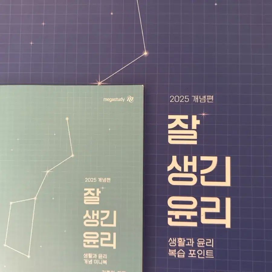 메가스터디) 김종익 잘생긴윤리 생윤 생활과 윤리 복습책