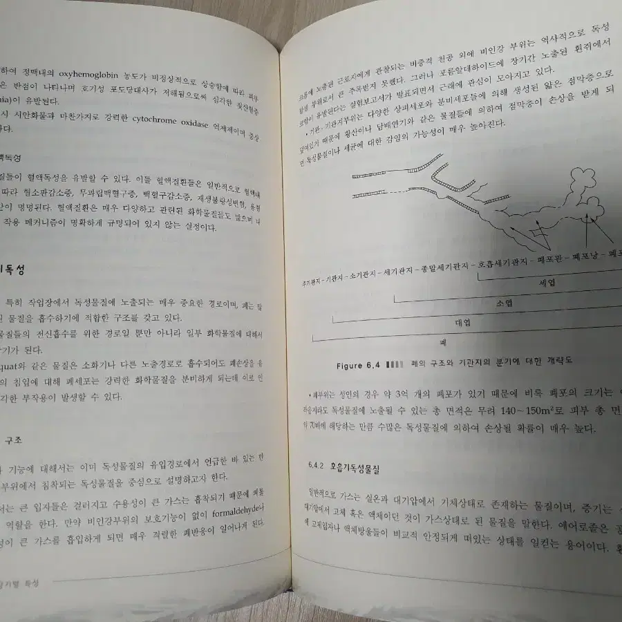 동화기술 환경독성학 3판 대학 교재