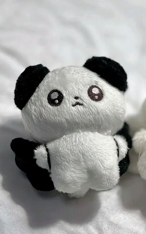 라이즈 성찬 10cm 인형 짱숑이 원가이하 양도