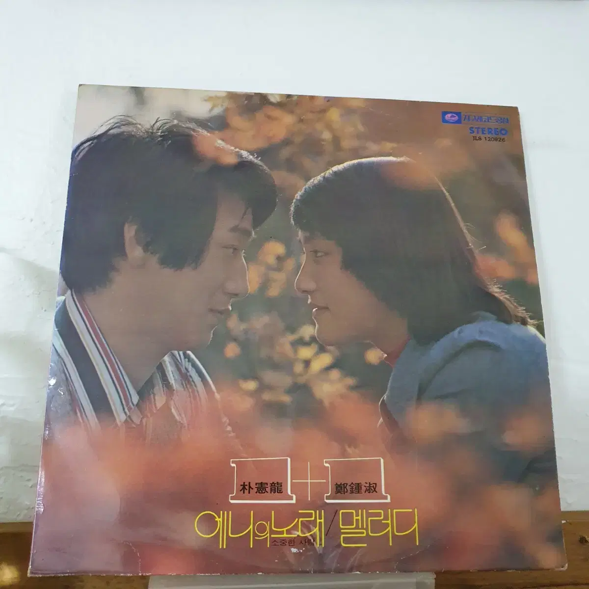 1 + 1  박헌룡/정종숙  LP  1974     애니의노래/멜러디