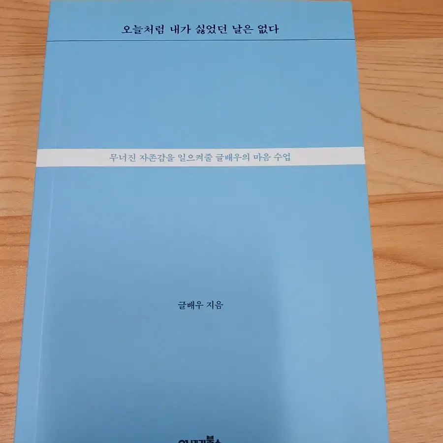 오늘처럼 내가 싫었던 날은 없다(소설책)