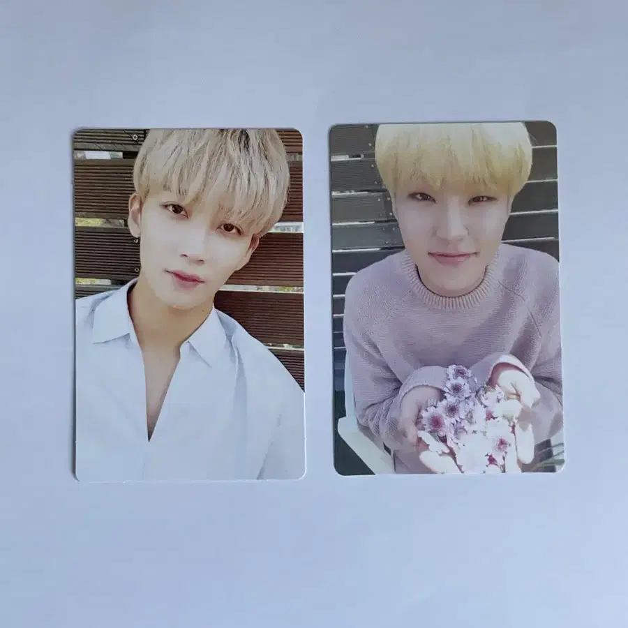 가격내림) 세븐틴 svt 정한 호시 박수 화이트 포카