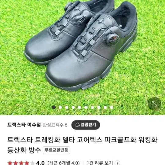 트렉스타 트레킹화 고어텍스 240