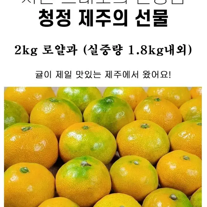 제주감귤 선물세트 2kg