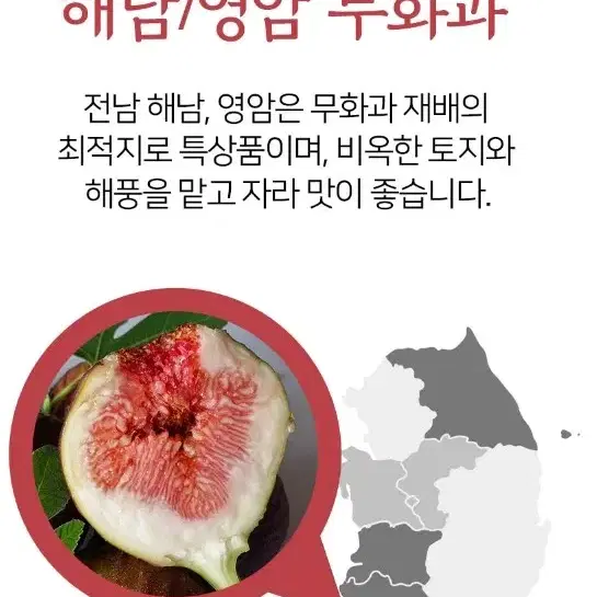 국내산 고당도 홍무화과 500g