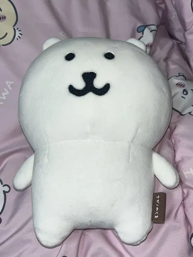 급처) 나가노 농담곰 20cm 누이구루미 중형 s 인형