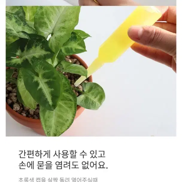 작살나 충 300g/600g (화분 분갈이 토양살충제)