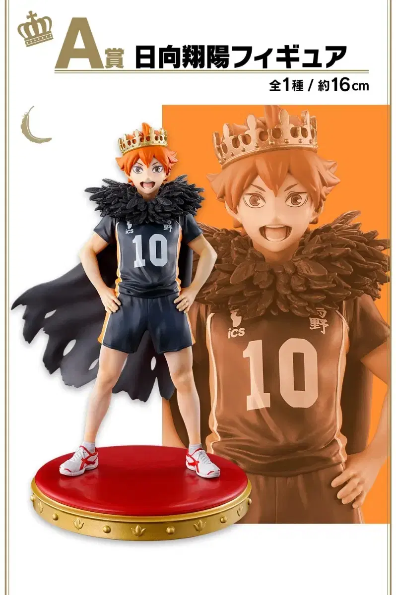 Haikyuu 10th Anniversary First Lottery A Prize hinata Figures + F Prize