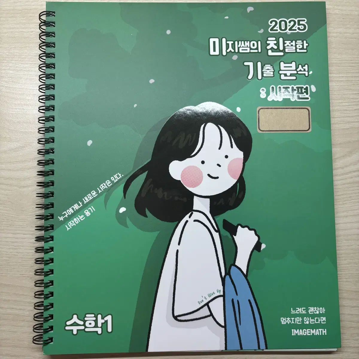 [새상품]대성마이맥 이미지T 2025 미친기분 시작편 수1