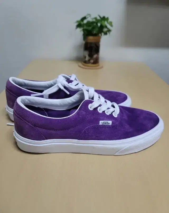 VANS 에라 피그스웨이드 퍼플 스니커즈 240(새상품)