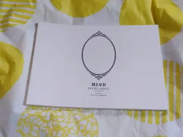 BLEACH 소책자 설정 자료 애니메이션 쿠로사키 이치고 히즈카야 토시로