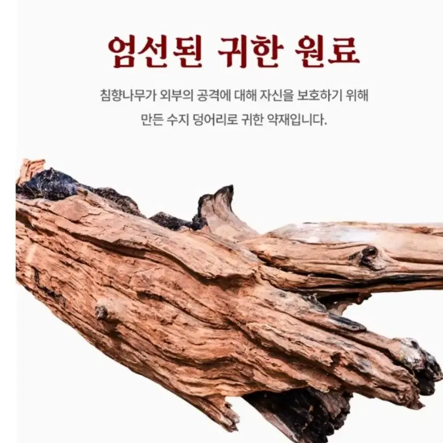 차스코활력침향단60환Ok