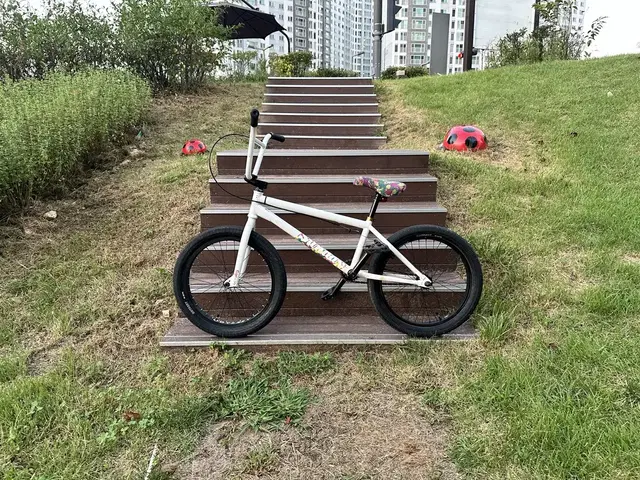 선데이 bmx 포어케스터 2024년식