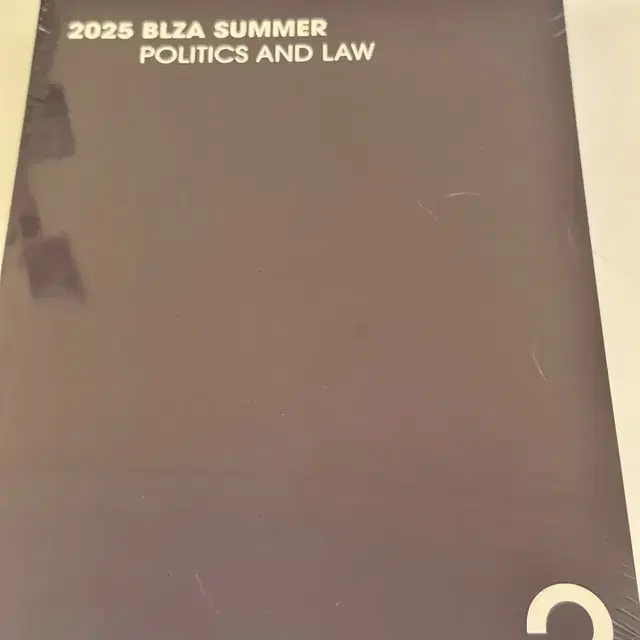 대성마이맥 2025 최여름 정치와법 기출 BLZA SUMMER