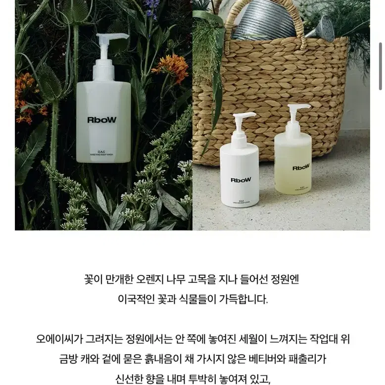 택포 ) 미개봉 ) 알보우 핸드 앤 바디워시 오에이씨 300ml