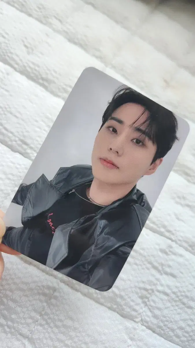 Day 6 soundwave YoungKay photocard wts Denimals PetitMals