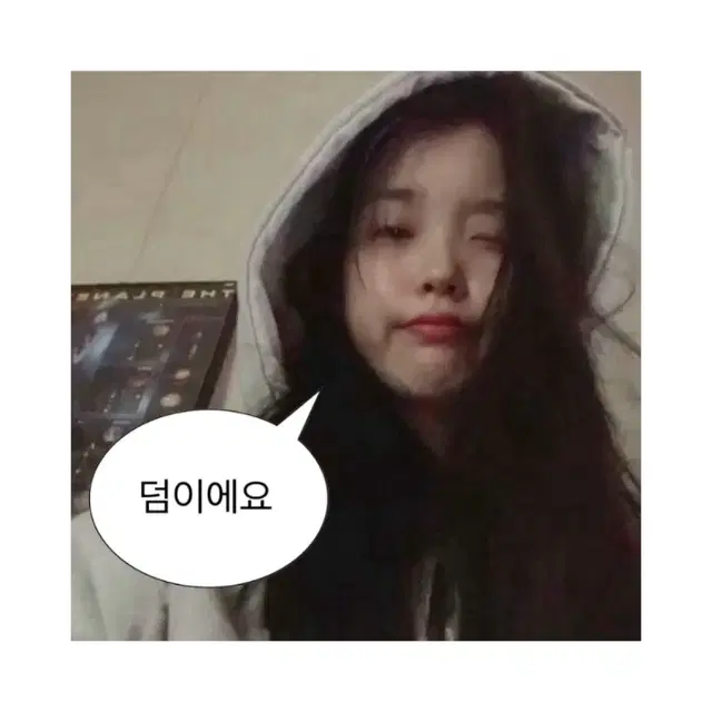 [3+1] 아이유 덤이에요 도무송 비공굿