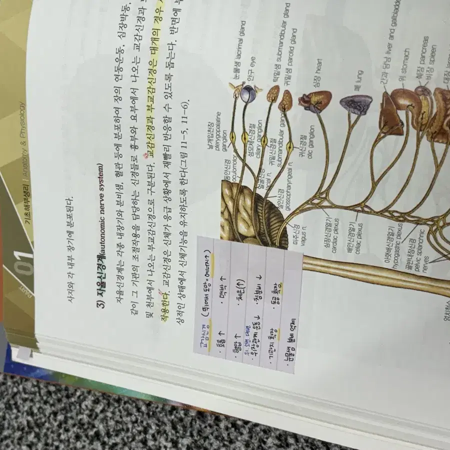 간호조무사 교재 & 문제집