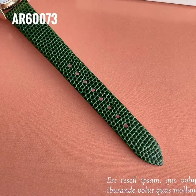 ARMANI 아르마니여성 시계 ar60073