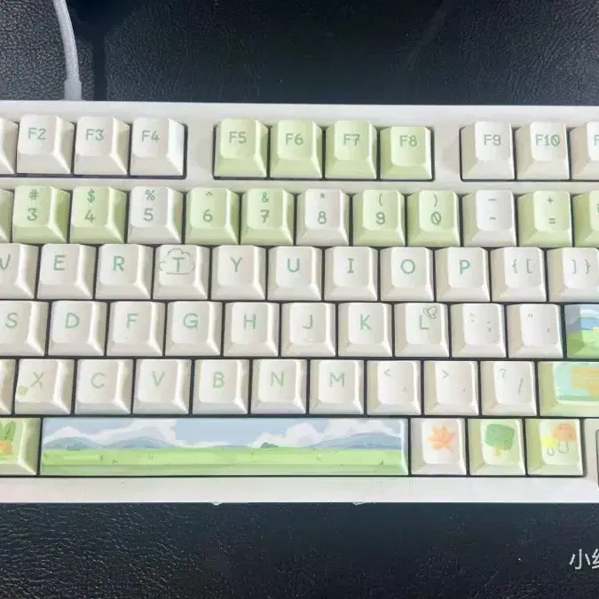 키캡 keycaps spring wild 95keys pbt