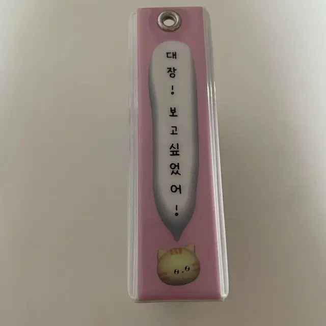 콜렉트북 고양이 냥대장