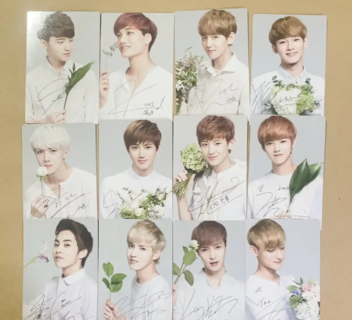 Former member of EXO Nature Public Photo Card