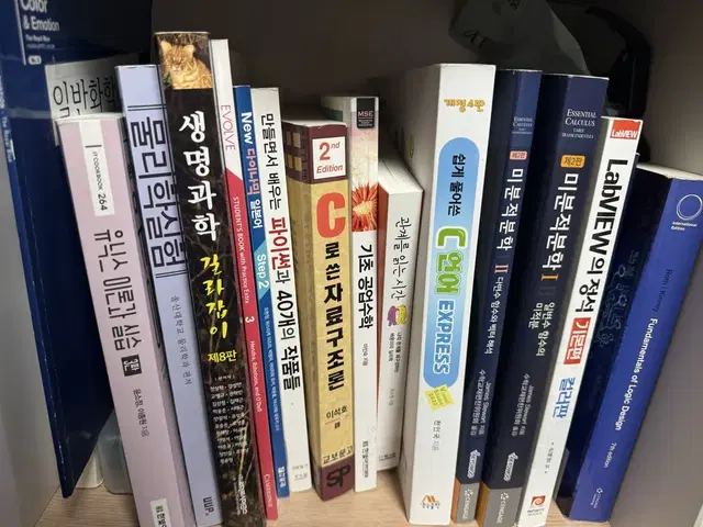 대학교 전공서적