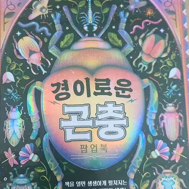 경이로운 곤충 팝업북