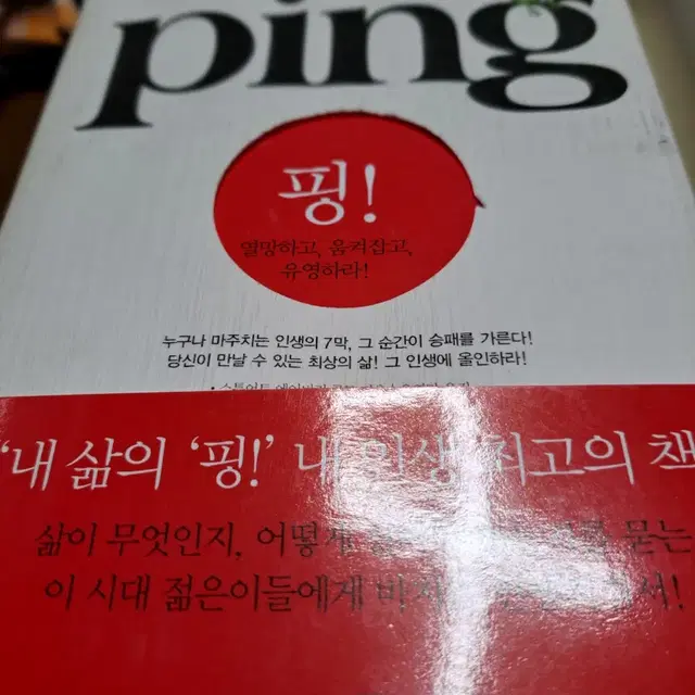 핑 ping