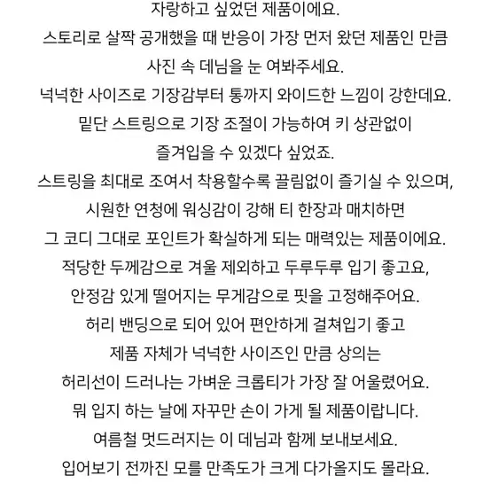 딥마인 파라슈트 카펜터 데님