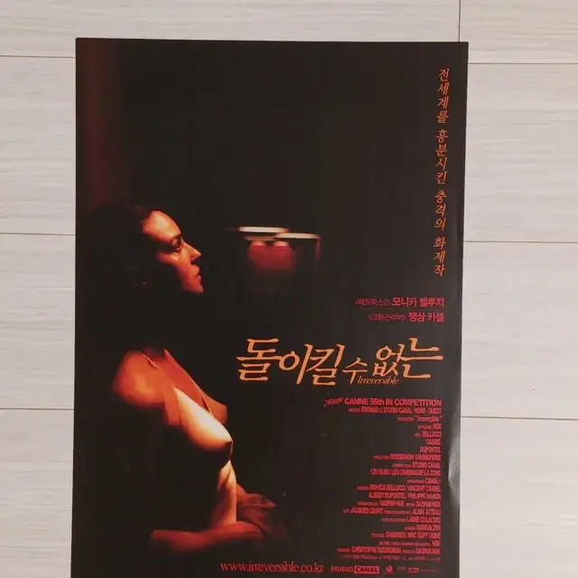 모니카벨루치 뱅상카셀 돌이킬수없는(2003년)