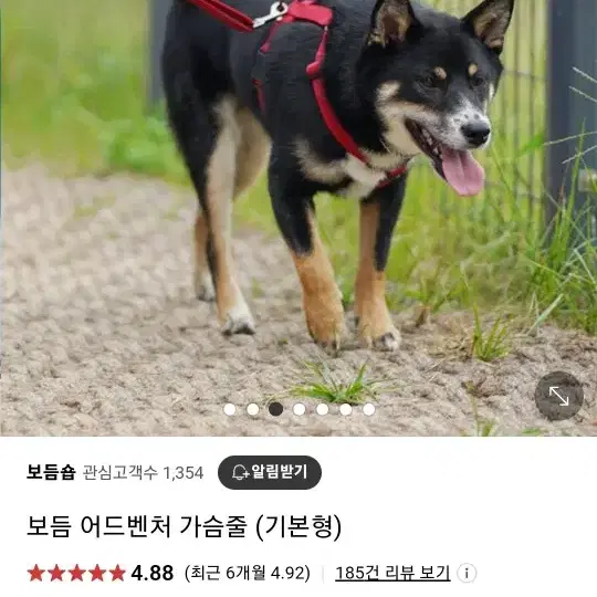 강아지 보듬 몸줄 하네스