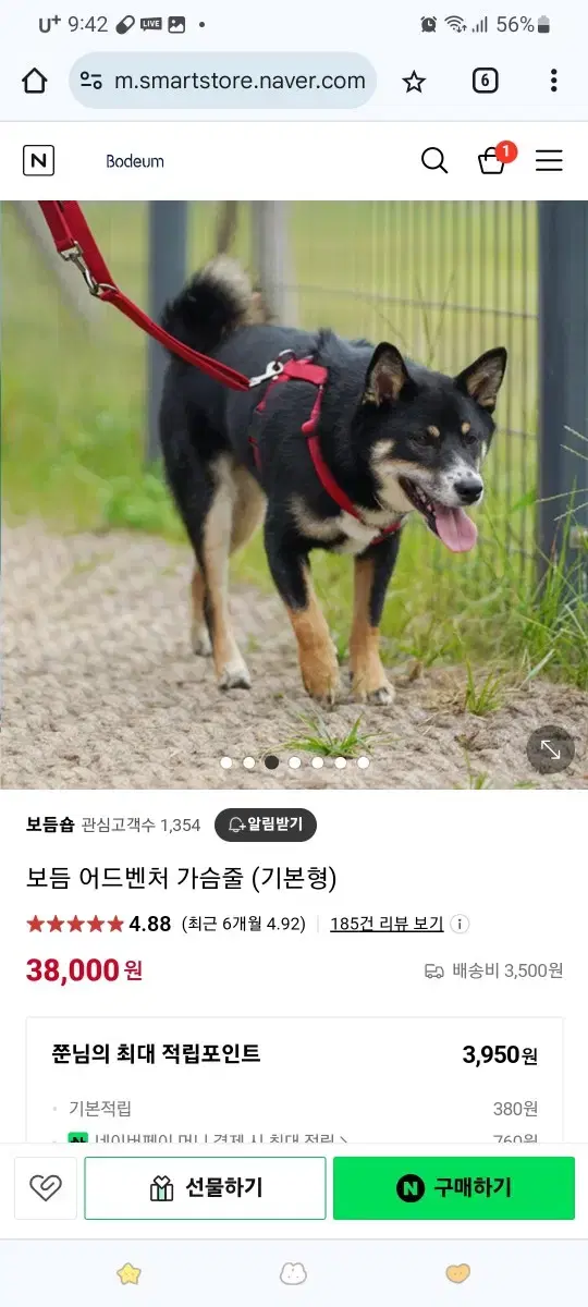 강아지 보듬 몸줄 하네스