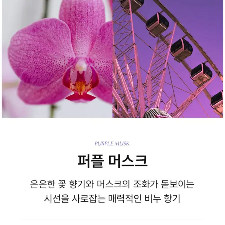 멈칫 섬유향수 퍼플머스크 70ml