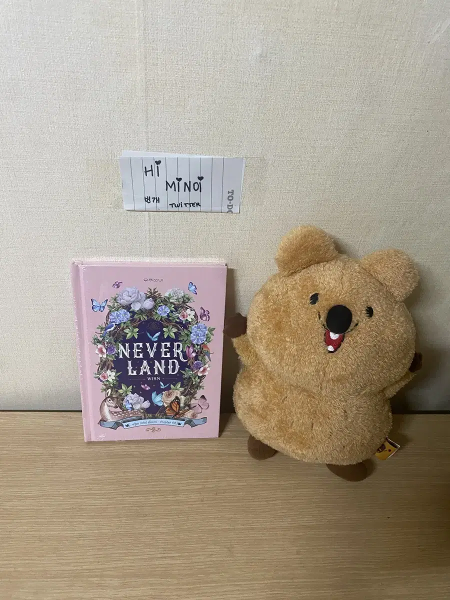 WJSN's 8th mini album Neverland unsealed