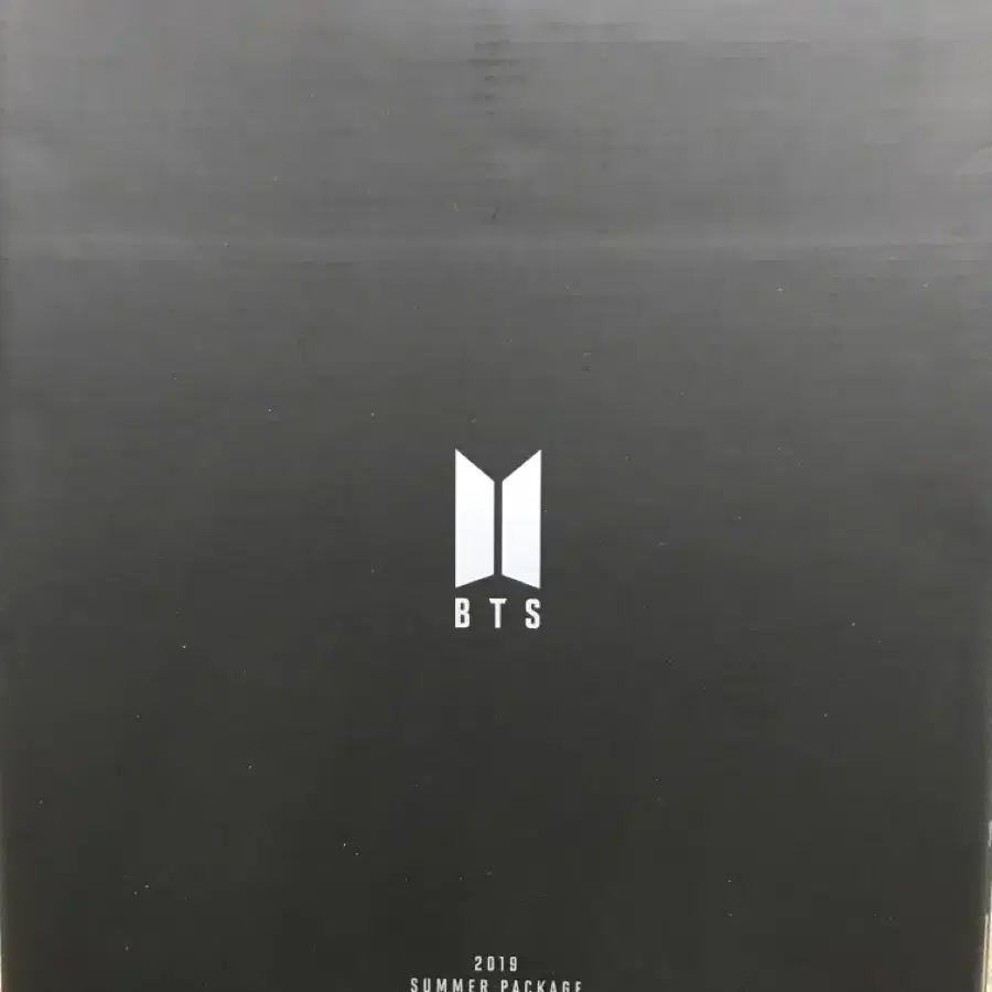 BTS 2019 summer package