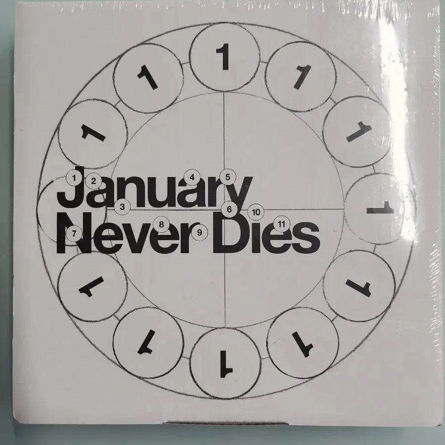 미개봉 바밍 타이거 January Never Dies 앨범