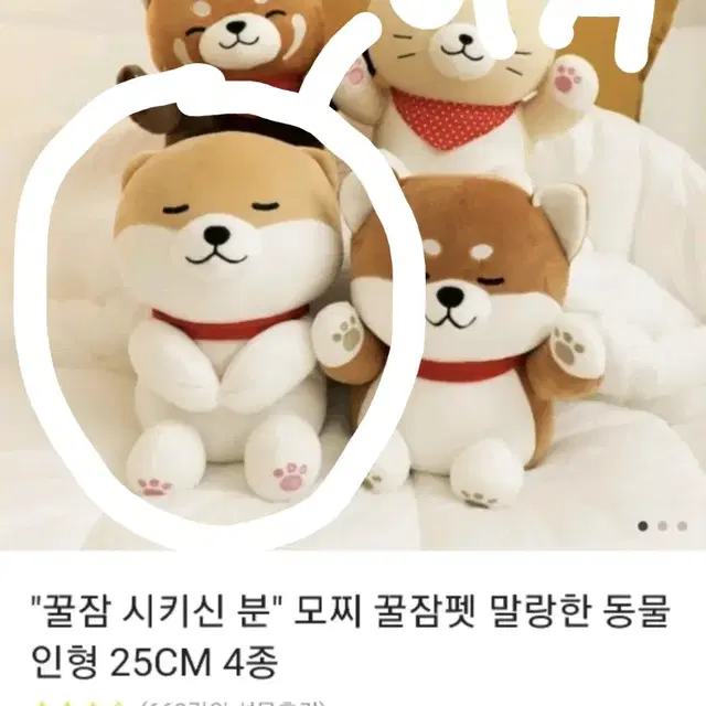 모찌 꿀잠펫 낮잠인형