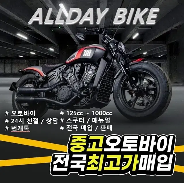 pcx nmax 포티에잇 아이언883 스트리트밥 펫보이