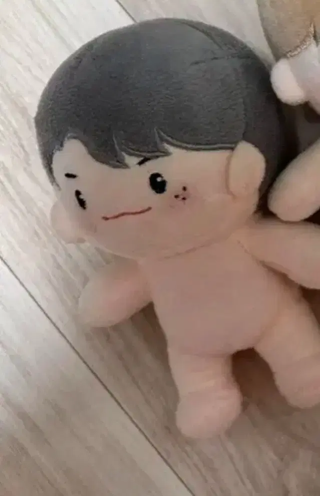 옹성우인형 15cm