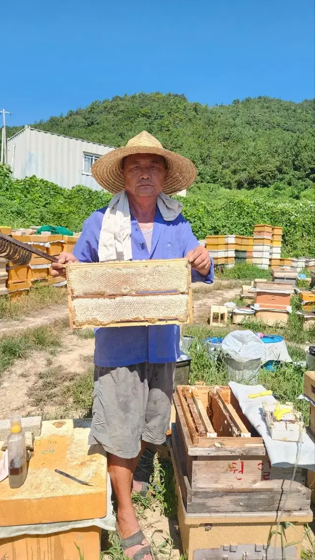 벌집꿀/요아정,카페,가정용