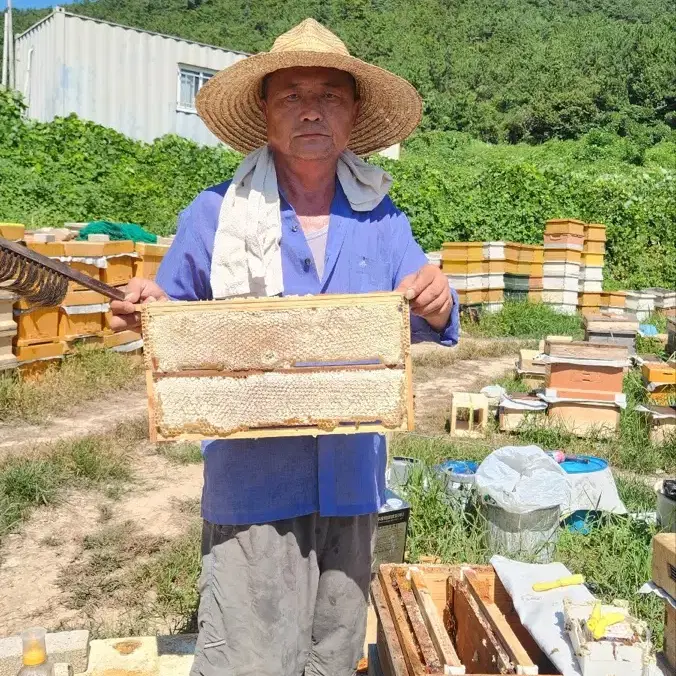 벌집꿀,자연벌꿀/요아정,카페,가정용